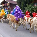 Laerchenbrunn Westendorf