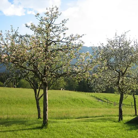 Laerchenbrunn