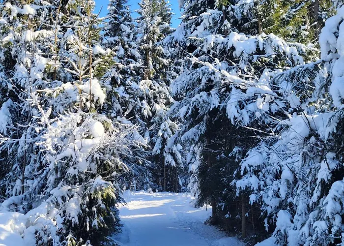 بيت ضيافة Laerchenbrunn