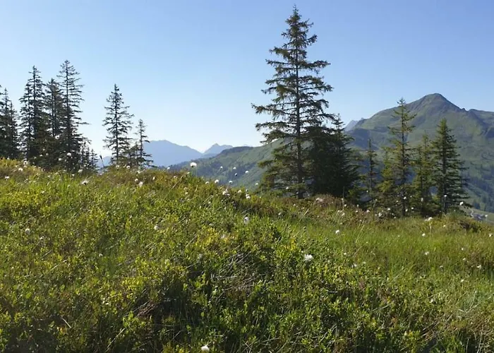 Laerchenbrunn بيت ضيافة وستندورف