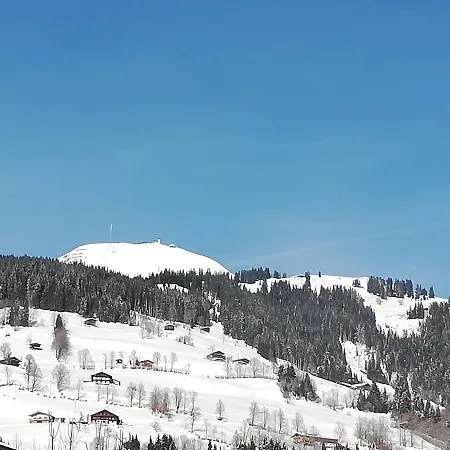 Laerchenbrunn Pensión 3*