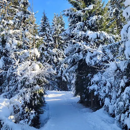 Pensión Laerchenbrunn